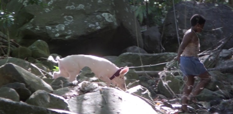 Streaming Time – Rico de Lynda&nbsp;D’Alexis